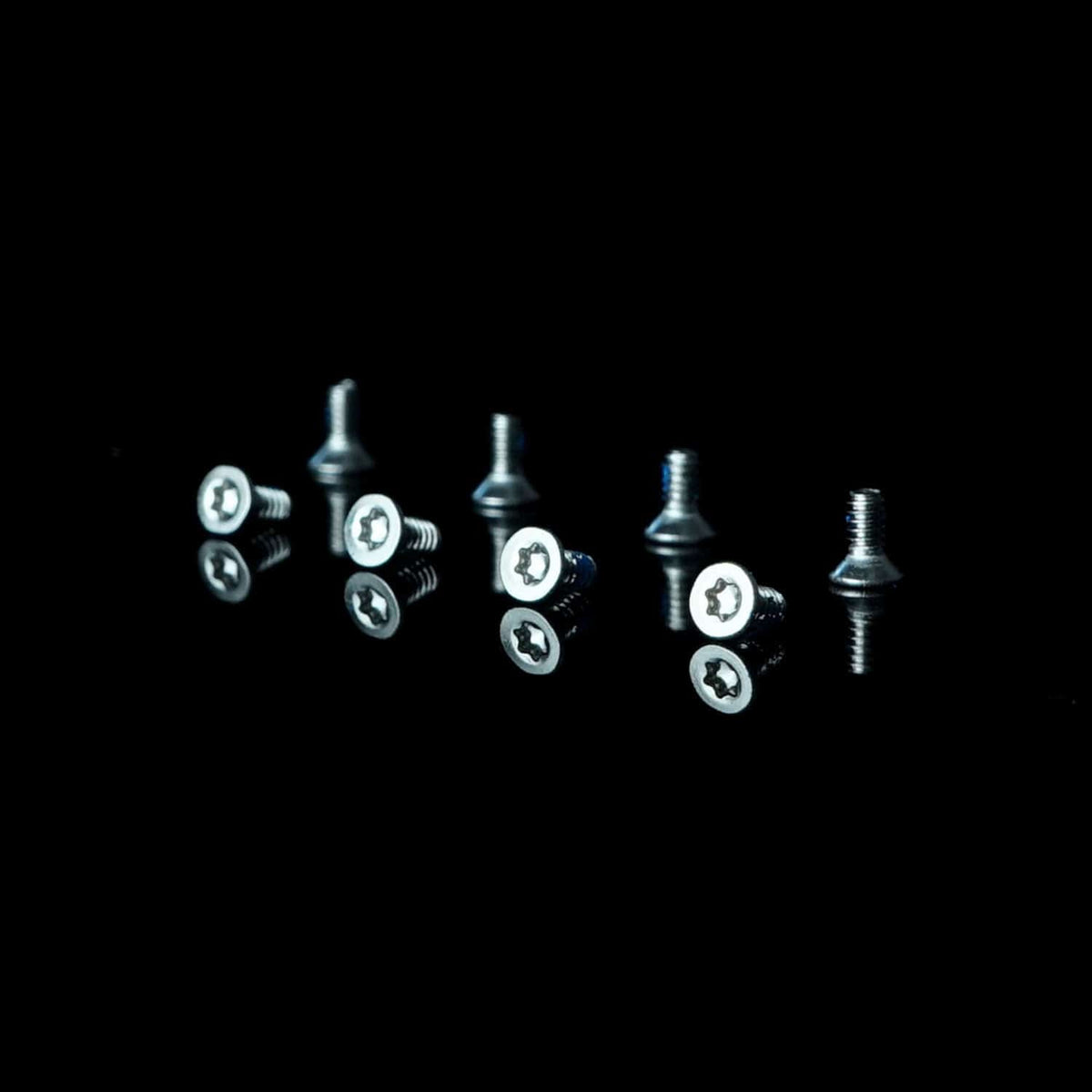 Screws Stainless Steel Silver